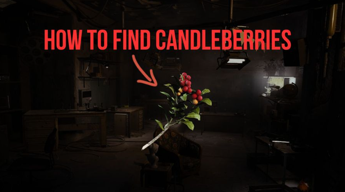 what to do with candleberries arc raiders